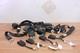 2012 KAWASAKI TERYX 4 KRT750 Front and Rear Seat Belt / Harness SET OF 4