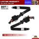 2rd Row Left&Right Side Seat Belt For Honda Accord 2023-25 Retractor Assembly US
