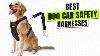 3 Best Dog Car Safety Harnesses