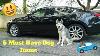 5 Dog Items To Have When Driving With Your Dog