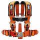 5 Point Safety Harness 3 Inch Seat Belt Sand Rail Dune Buggy Rock Crawler Orange