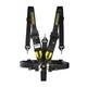 5 Point Safety Harness Racing Seat Belt 2+3 Camlock Quick Release Premium Q