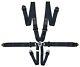 6-Point Race Harness FIA 8853-2016 Safety Seat Belt Pull Down STR BLACK 2029