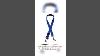 Adjustable Pet Cat Dog Car Seat Belt Pet Seat Vehicle Dog Harness Lead Clip Safety Lever Traction