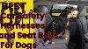 Best 5 Car Safety Harnesses And Seat Belts For Dogs L Top 5 Best Car Seat Belts For Dogs Reviews
