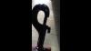 Dog Car Seat Belt Tether Keep Doggie Safe