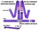 Five Point Race Harness 3 Seat Belt Sfi 16.1 Latch & Link Floor Mount Purple