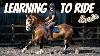 Lets Learn To Ride The New Horse