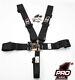 New! Pro 1 Racing & Safety Products Latch Link Seat Belts Harness SFI June 2023