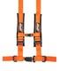 Prp 4.2 Harness