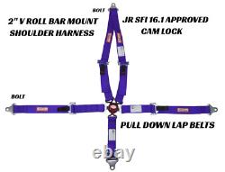 Puple Kids Race Harness Seat Belt 5 Point Sfi 1601 Approved Cam Lock V Roll Bar