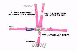Quarter Midget Racing Harness Sfi 16.1 5 Point Latch & Link Seat Belt Hot Pink