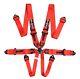 Red 6-Point Race Harness FIA 8853-2016 2030 Safety Seat Belt IVA Safe STR