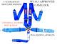 Rjs Racing Sfi 16.1 Cam Lock 5 Point Seat Belt Harness Floor Mount Blue 1034403