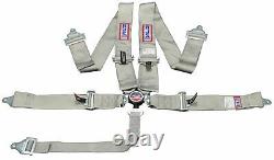 Rjs Sfi 16.1 Cam Lock 5 Pt Seat Belt Harness Floor Mount Bolt In Gray 1034107