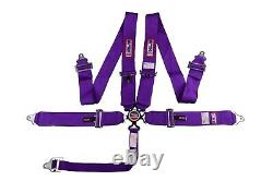 Rjs Sfi 16.1 Cam Lock 5 Pt Seat Belt Harness Floor Mount Bolt In Purple 1034108