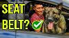 Ruffwear Dog Seat Belt Harness We Try It Out