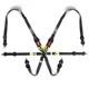 SAAS Racing Harness FIA Approved 6 Point HANS Homologated 3 2 Black