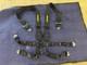 SCHROTH 6-point harness seat belt black FIA