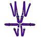 STR 6-Point 3 to 2 FHR HANS Race/Rally Harness Seat Belt FIA 2025 Purple NEW