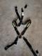 Schroth Quick Fit Pro harness 4 point 2018-2022 S550 Mustang