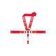 Simpson Seat Belt Harness 29116R Red 5 Point Camlock
