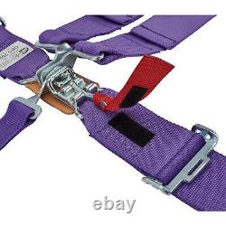 Speedway Racing Harness 5-Point Latch/Link Pull-Down Seat Belts SFI 16.1 Rated