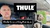 The Best Dog Car Harness Thule Cappy Dog Harness