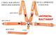 Universal Race Harness Cam Lock Seat Belt 3 Sfi 16.1 5 Point Bolt / Wrap Orange