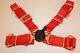 Universal Red Racing Seat Belt Safety Harness 4 Point 2 Wide