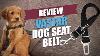 Vastar Dog Seat Belt Review 2018