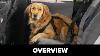 Weathertech Pet Safety Harness One Minute Overview